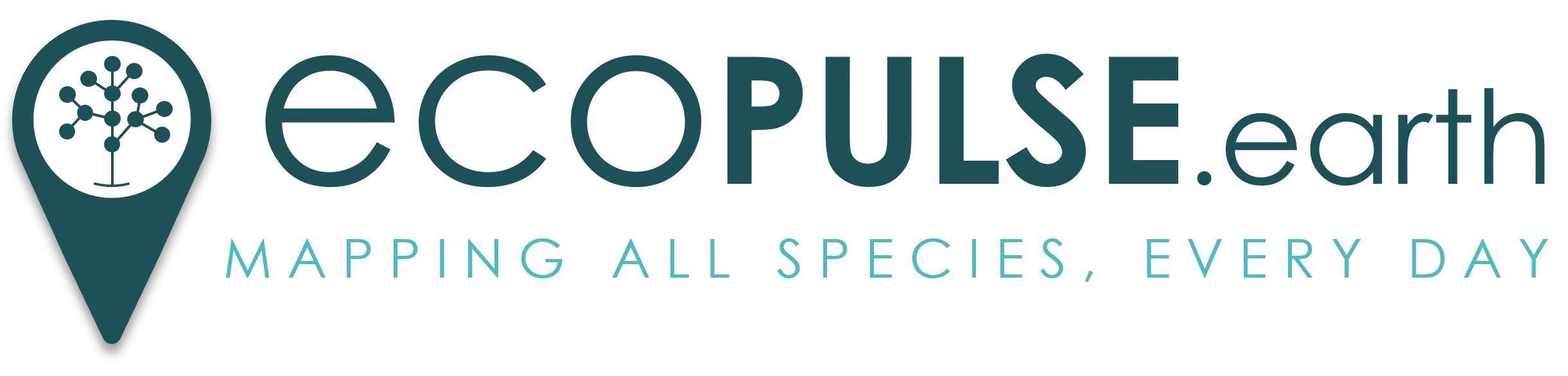 ecoPULSE.earth